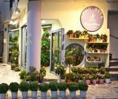 ΦΩΣΚΟΛΟΥ ΙΩΑΝΝΑ – ΕΝΤΕΛΒΑΪΣ – ΑΝΘΟΠΩΛΕΙΟ ΤΗΝΟΣ ΚΥΚΛΑΔΕΣ