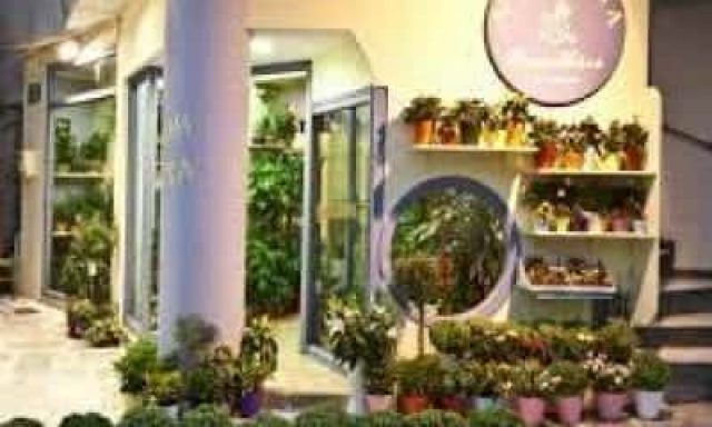 ΦΩΣΚΟΛΟΥ ΙΩΑΝΝΑ – ΕΝΤΕΛΒΑΪΣ – ΑΝΘΟΠΩΛΕΙΟ ΤΗΝΟΣ ΚΥΚΛΑΔΕΣ