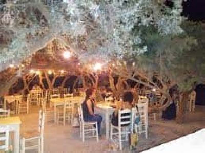 ΚΟΤΤΑΚΗΣ ΓΕΩΡΓΙΟΣ – ΤΑΒΕΡΝΑ ΤΟ ΤΡΑΠΕΖΑΚΙ – ΠΥΡΓΑΚΙ ΝΑΞΟΣ ΚΥΚΛΑΔΕΣ