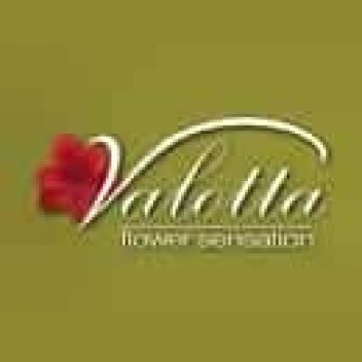 ΓΕΜΙΤΖΑΚΗ ΕΜΜΑΝΟΥΕΛΛΑ – VALOTA – ΑΝΘΟΠΩΛΕΙΟ – ΗΡΑΚΛΕΙΟ ΚΡΗΤΗ