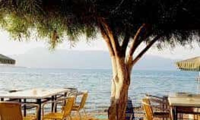 ΤΑΒΕΡΝΑ ΑΛΥΚΕΣ – ΒΟΥΡΓΙΔΗΣ ΙΩΑΝΝΗΣ – ΕΣΤΙΑΤΟΡΙΟ ΤΑΒΕΡΝΑ – ΑΛΥΚΕΣ ΚΕΡΚΥΡΑ